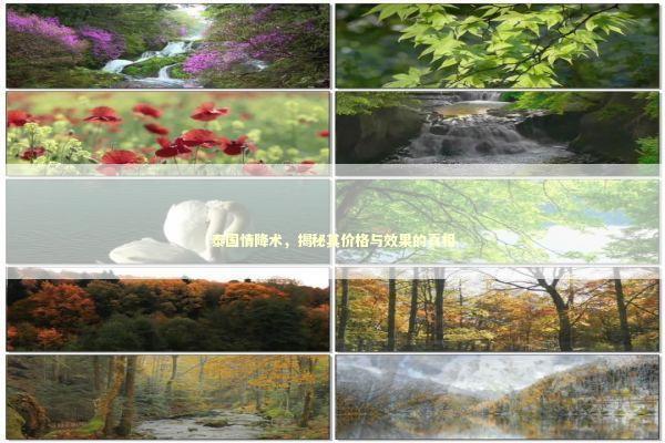 泰国情降术，揭秘其价格与效果的真相