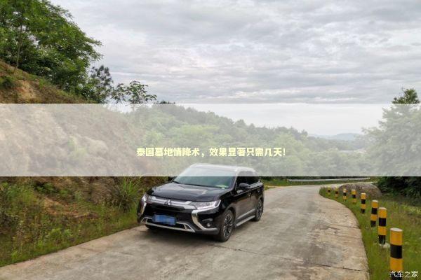 泰国墓地情降术，效果显著只需几天！