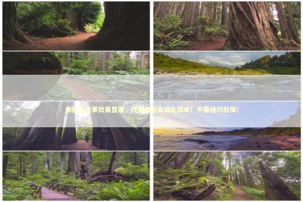 泰国合法事效果显著，改变命运竟如此简单！不看绝对后悔！