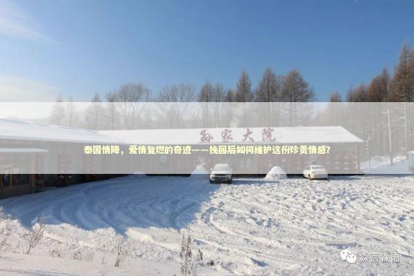 泰国情降，爱情复燃的奇迹——挽回后如何维护这份珍贵情感？