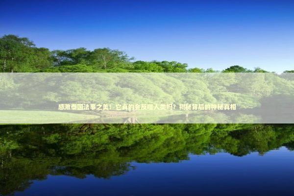 感激泰国法事之美！它真的会反噬人类吗？揭秘背后的神秘真相