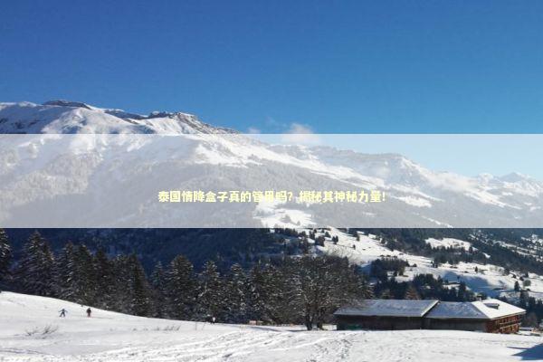 泰国情降盒子真的管用吗？揭秘其神秘力量！