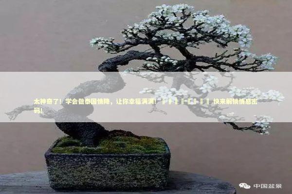 太神奇了！学会做泰国情降，让你幸福满满！🎉💖 快来解锁情感密码！