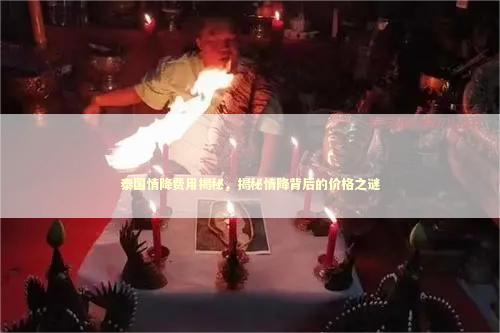 泰国情降费用揭秘，揭秘情降背后的价格之谜