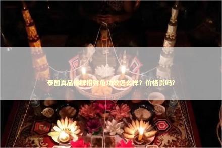 泰国真品佛牌招财龟功效怎么样？价格贵吗？